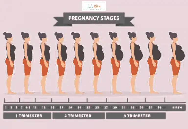 First Trimester (Weeks 1–12): Early Changes You Might Not Notice Oxshott